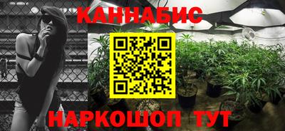 МДПВ Шелехов