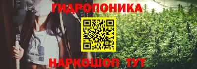 стафф Шебекино