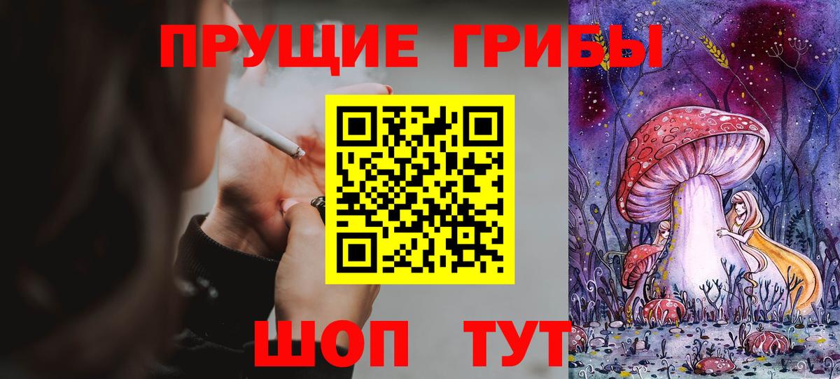 Галлюциногенные грибы GOLDEN TEACHER Луга